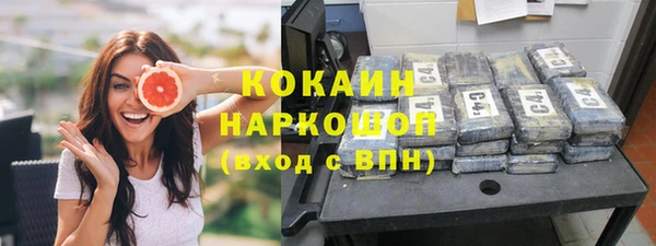 прущие грибы Богданович