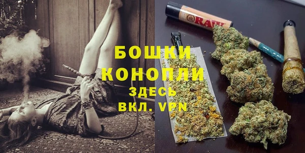 прущие грибы Богданович