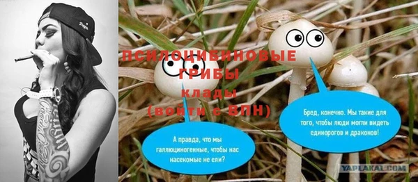 дмт Богородицк