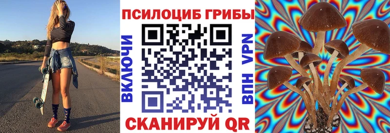 Галлюциногенные грибы Psilocybine cubensis цена МЕГА рабочий сайт Кедровый